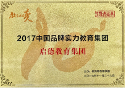 2017中國品牌實力教育集團(tuán)