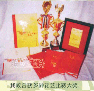 學(xué)校榮譽