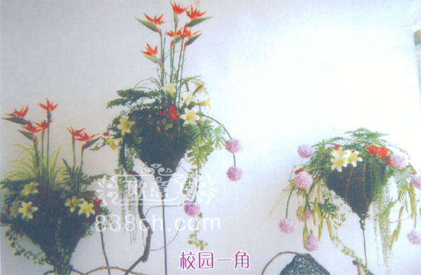 學(xué)校環(huán)境