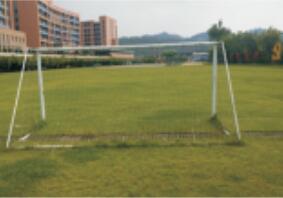 學(xué)校環(huán)境