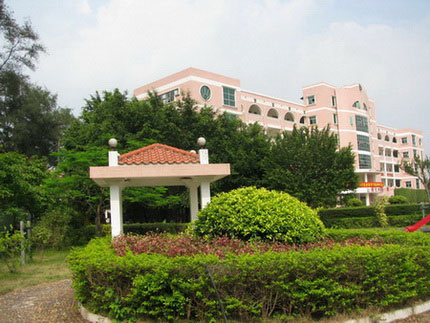 校中小庭院