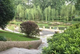 學(xué)校環(huán)境