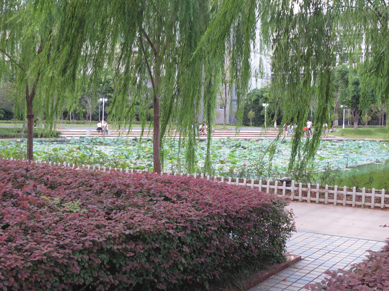 校園環(huán)境