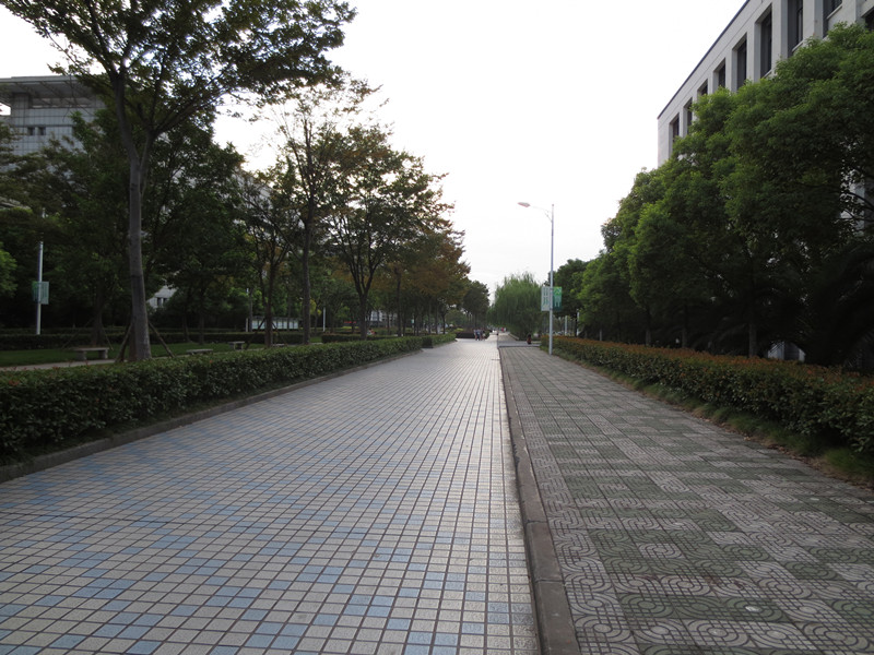 校園環(huán)境