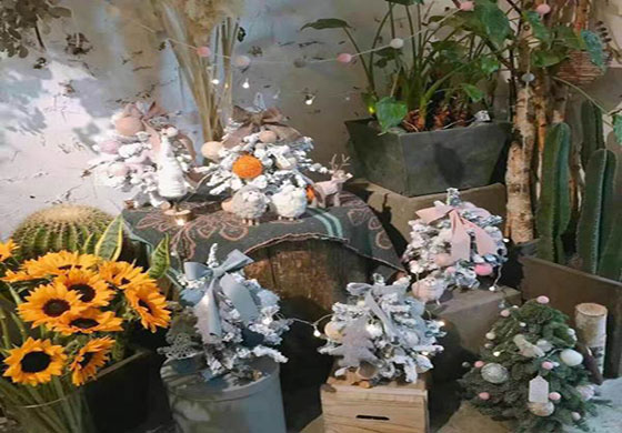 花卉盆栽