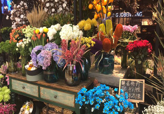 花朵盆栽