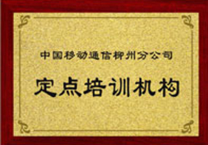 榮譽(yù)二