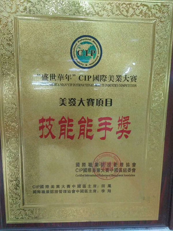 美發(fā)大賽技能能手獎