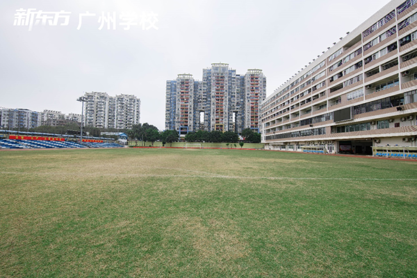 學(xué)校運動場