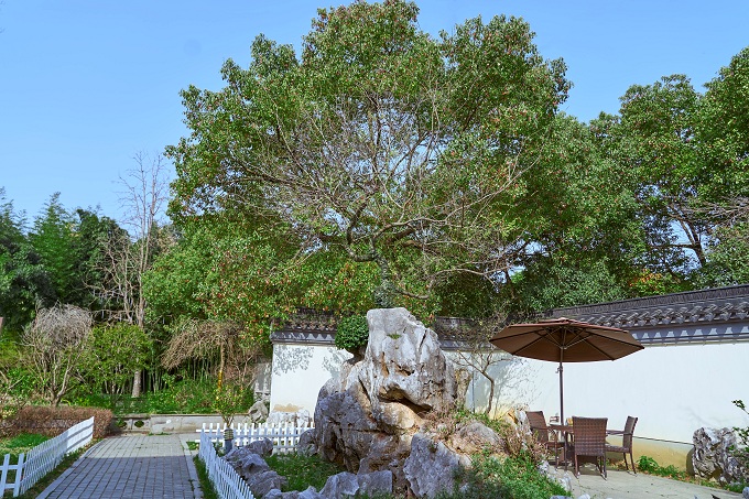 校園景色
