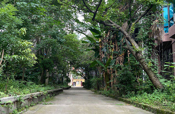 校園環(huán)境