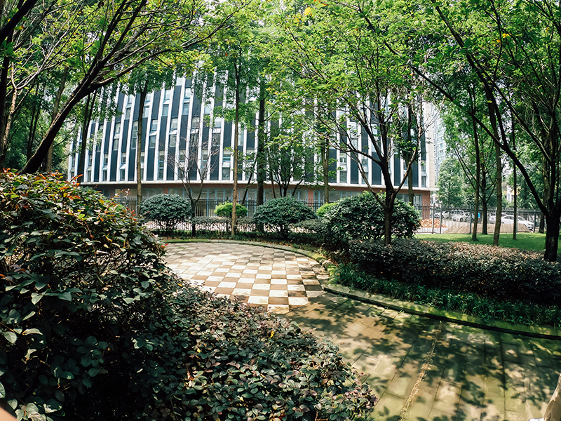 學校環(huán)境