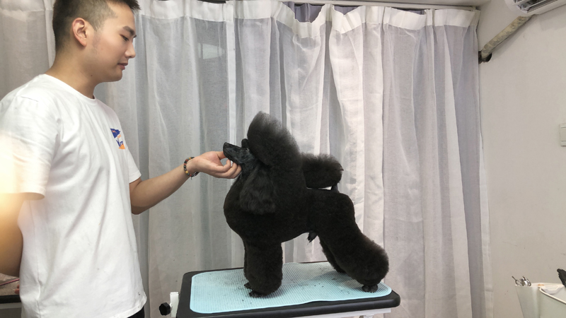學(xué)員作品