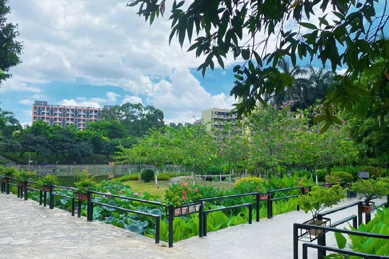 學(xué)校景色