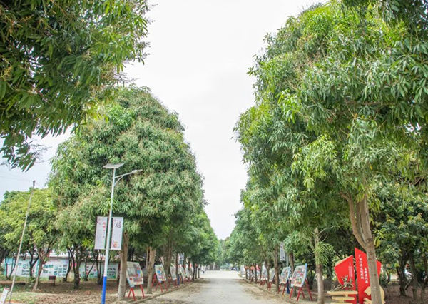 綠蔭路