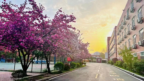 校園風(fēng)景