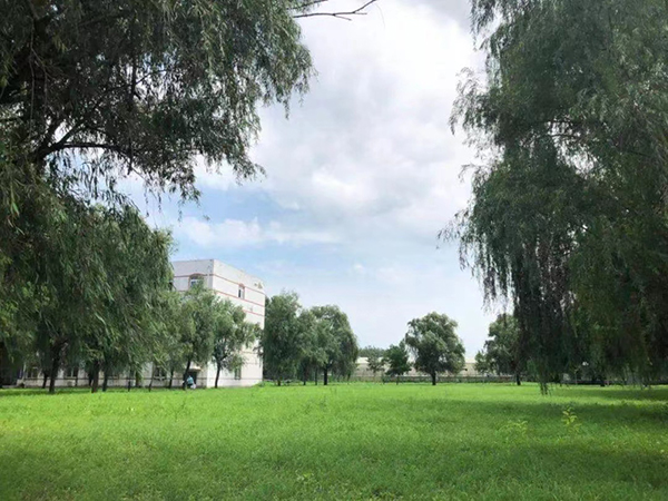 校園景色