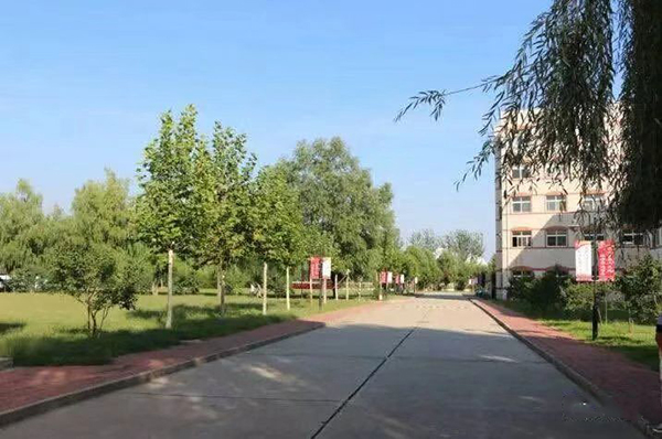 校園道路