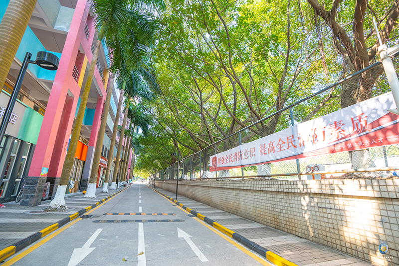林蔭道路