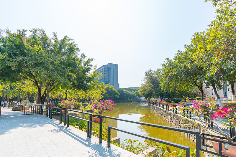 湖邊景色