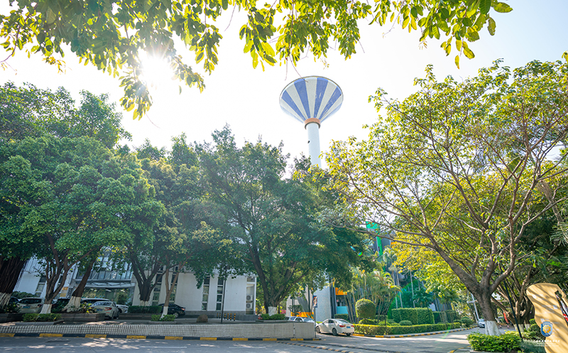 校內(nèi)風景