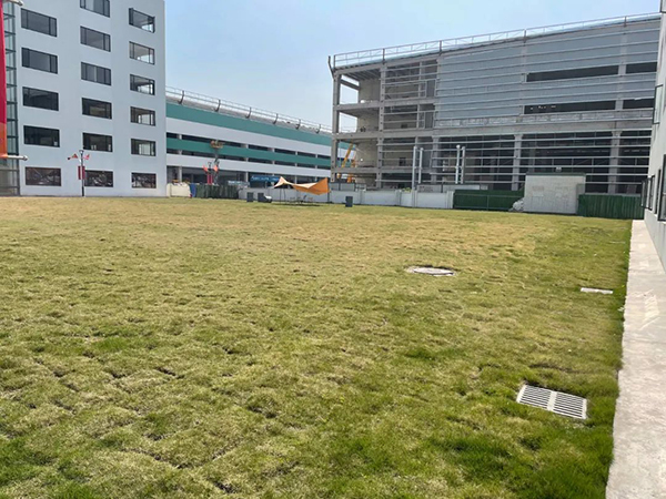 校園風(fēng)景
