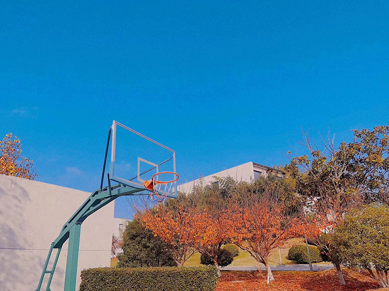 球場