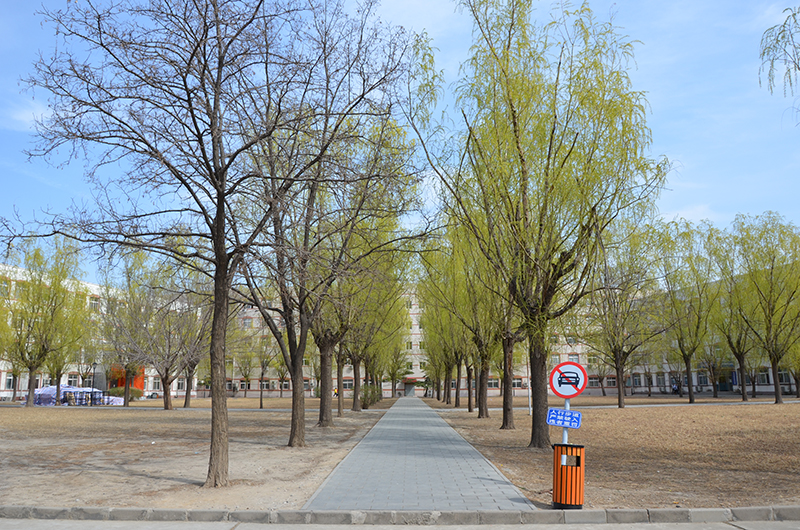 航天橋校園環(huán)境