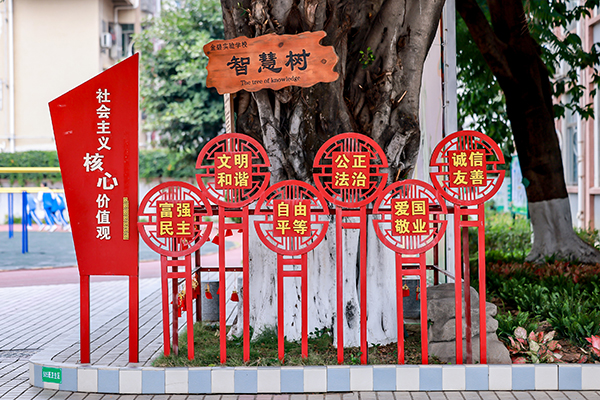 環(huán)境展示