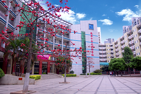 學(xué)校校景圖（木棉花圖）