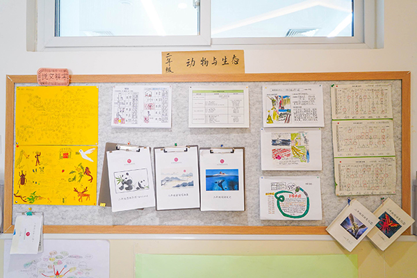 展示墻